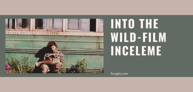 into-the-wild