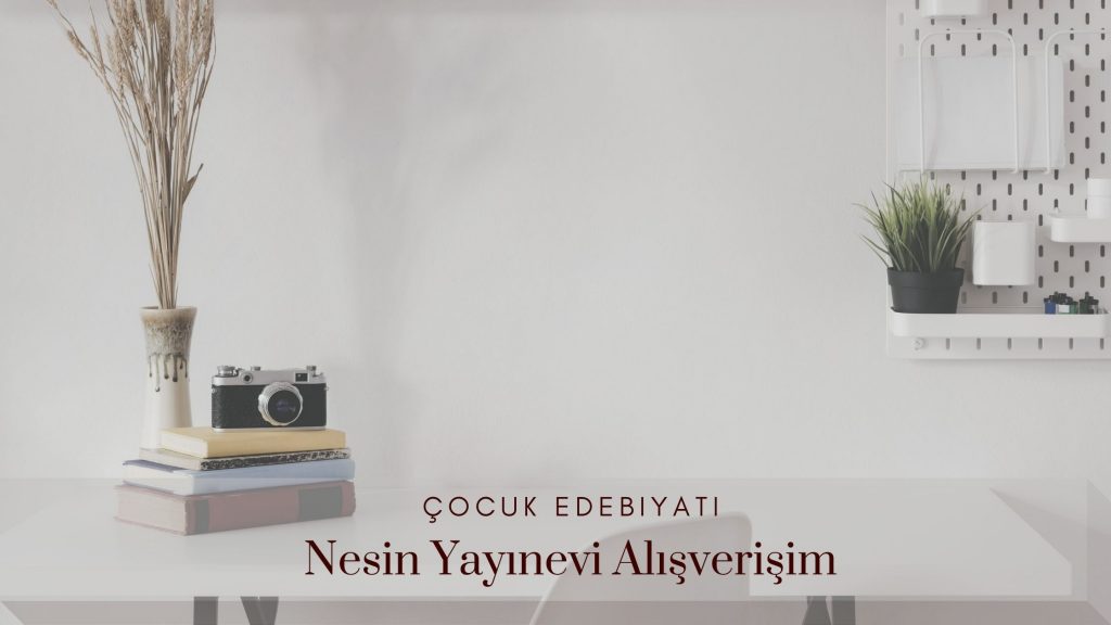 nesin-yayınları