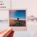 sosyopix-nedir